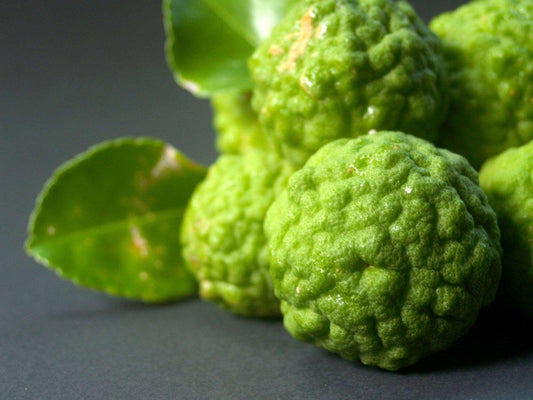 Les bienfaits de la Bergamote