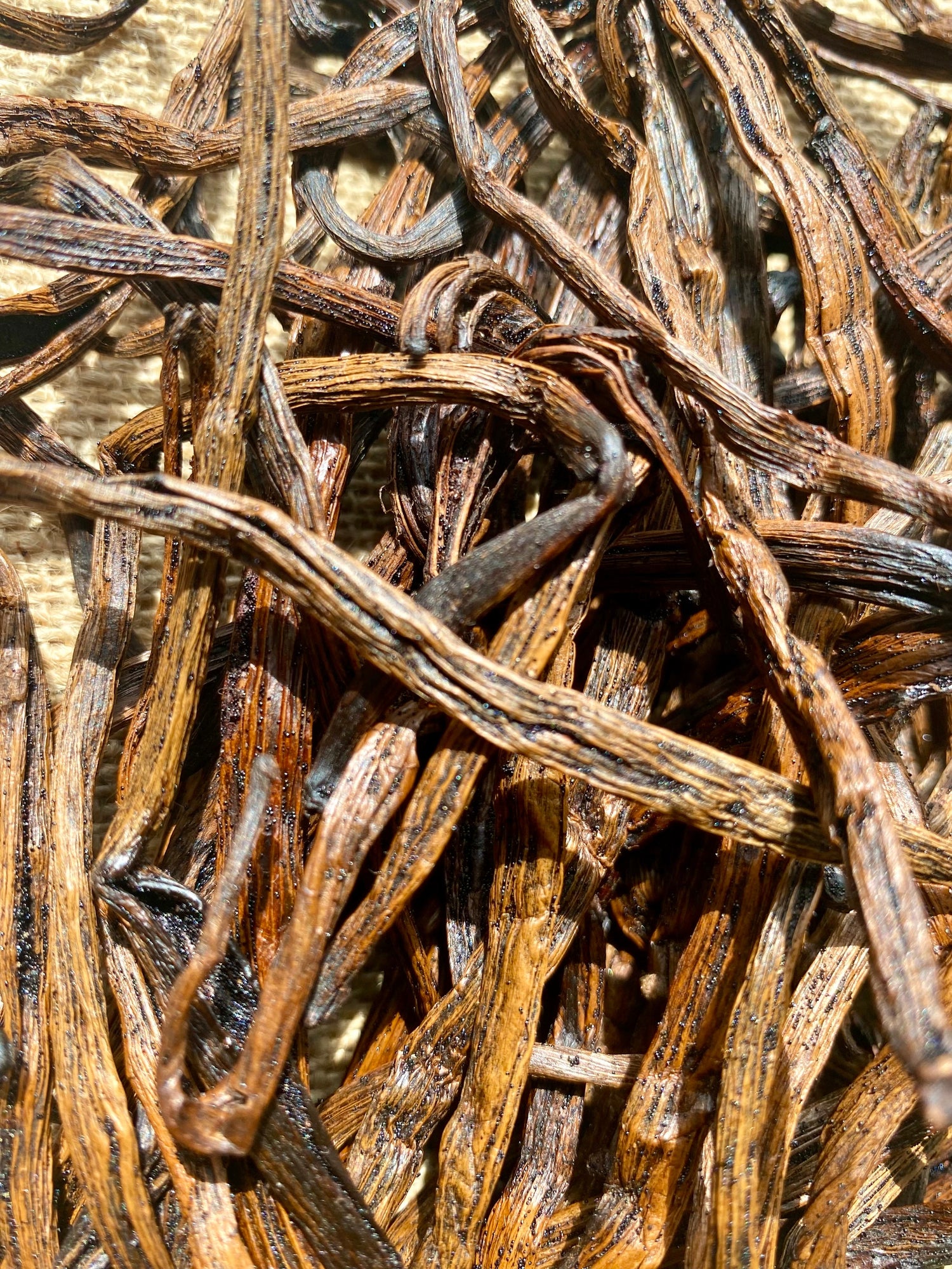 Gousses de Vanille | Achat, recettes, utilisation