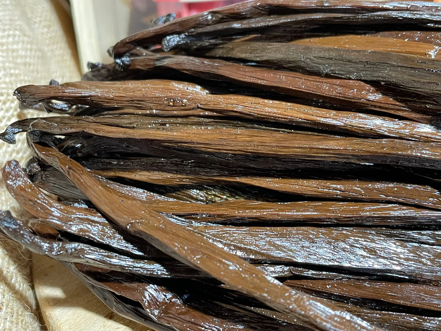 Vanille Tahitensis de Papouasie Nouvelle Guinnée
