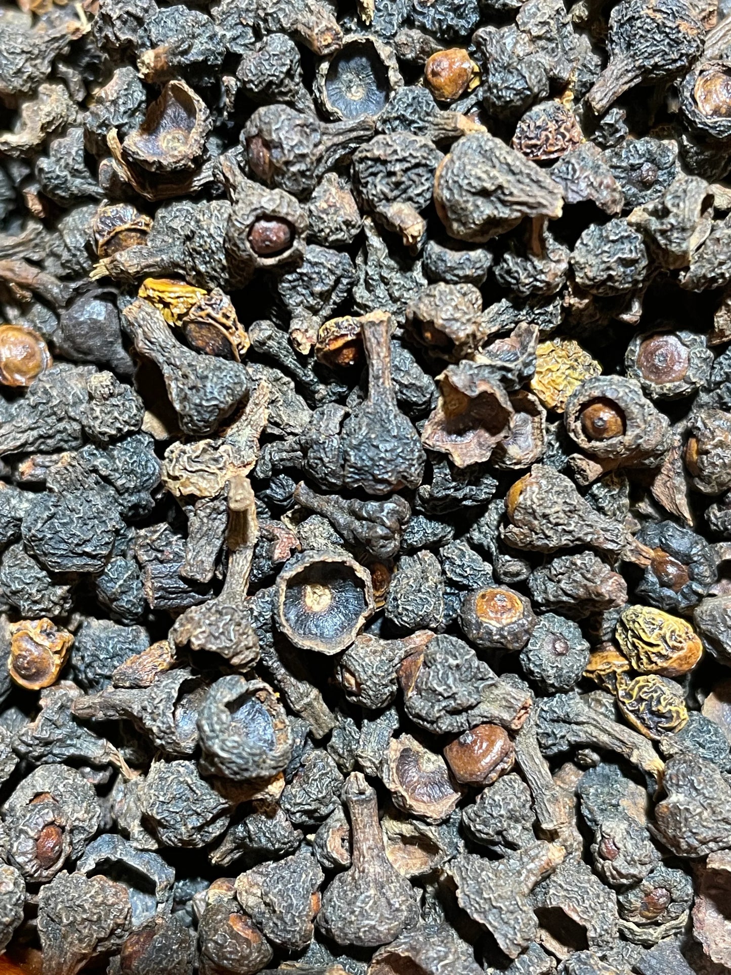 Baies de cannelier en vrac, épice rare du Sri Lanka aux arômes doux et boisés