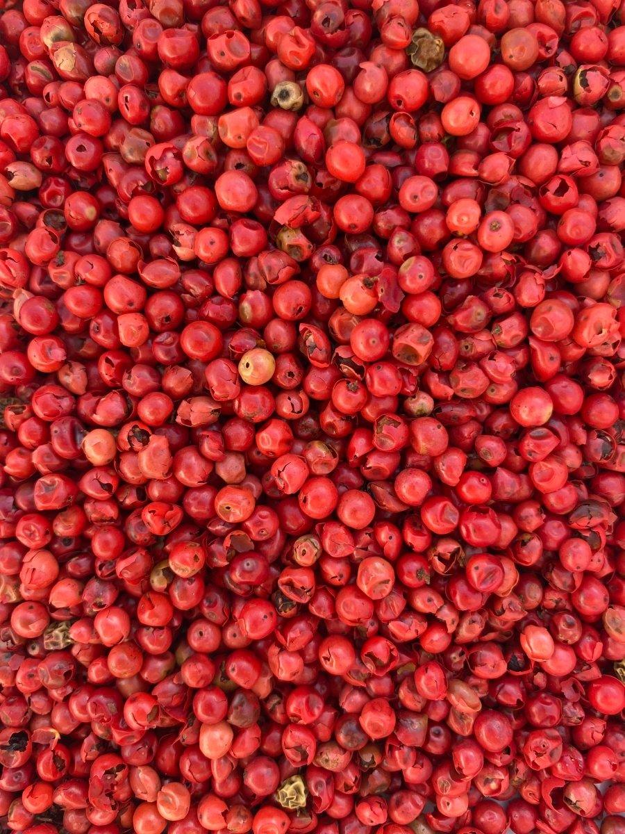 Baies de rose à utilisées pour assaisonner un plat de poisson