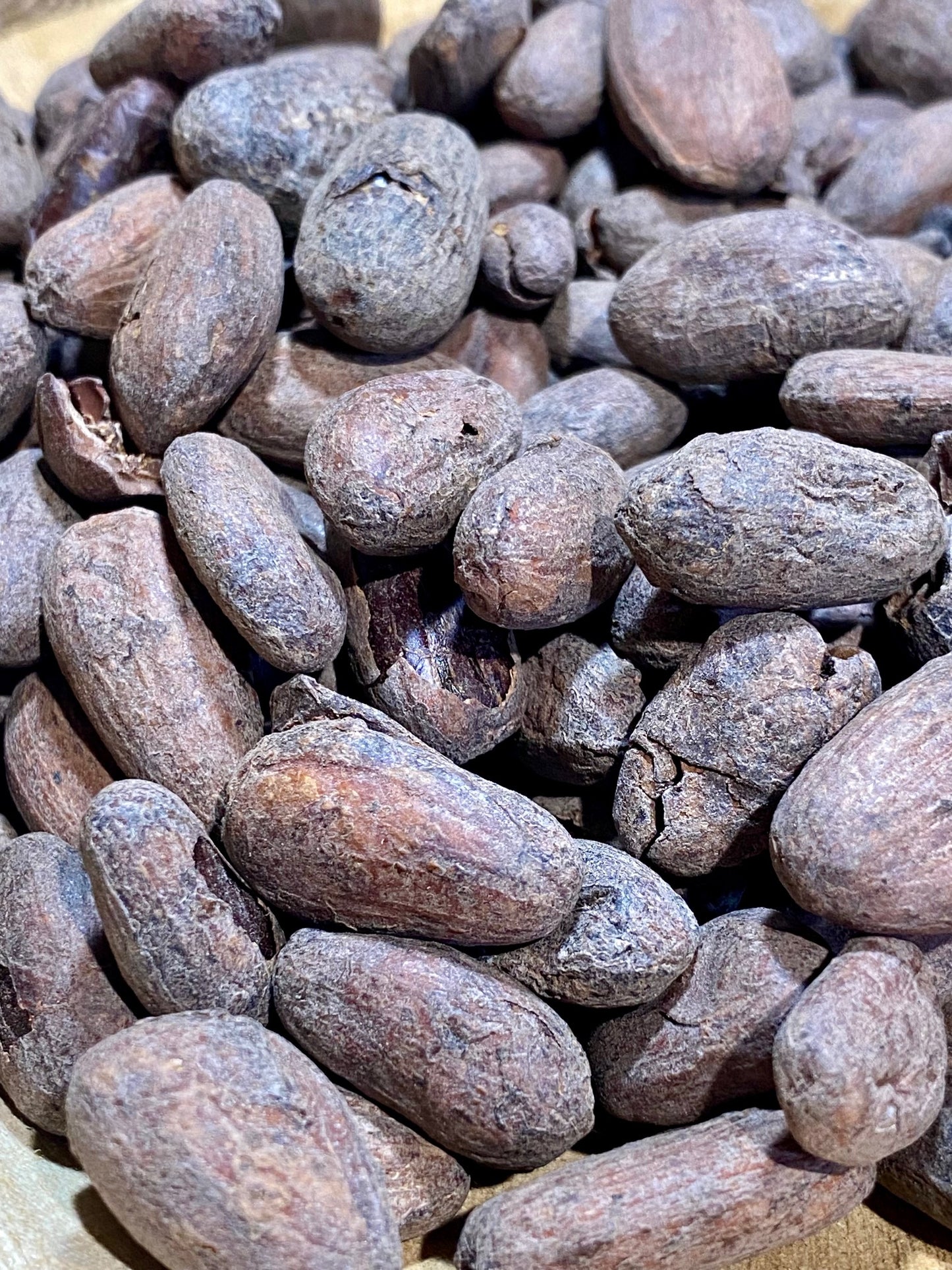 Fèves de cacao torréfiées riches en antioxydants et minéraux