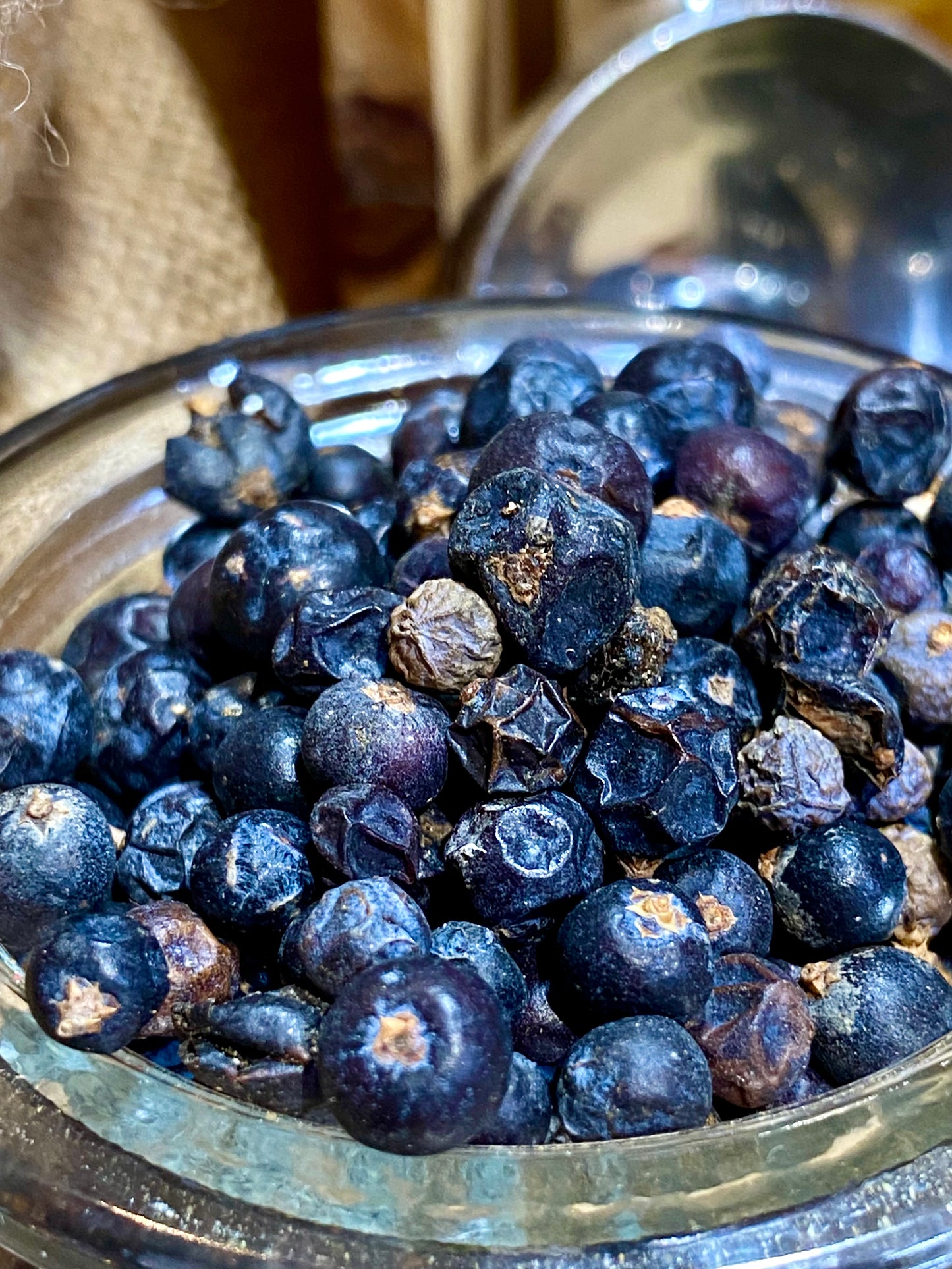 Baies de Genièvre | Achat, utilisation, Recettes, bienfaits