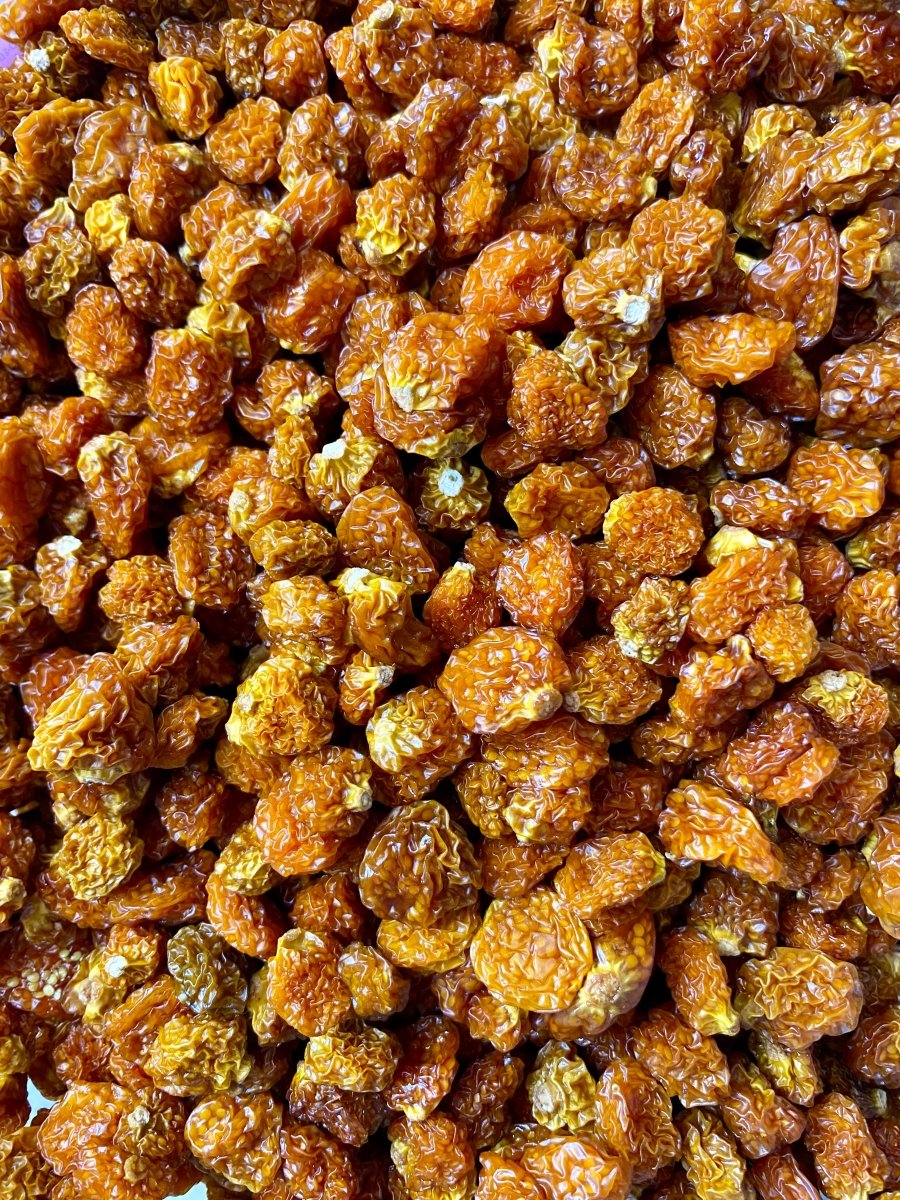 Physalis séché bio | Achat, utilisation, recettes