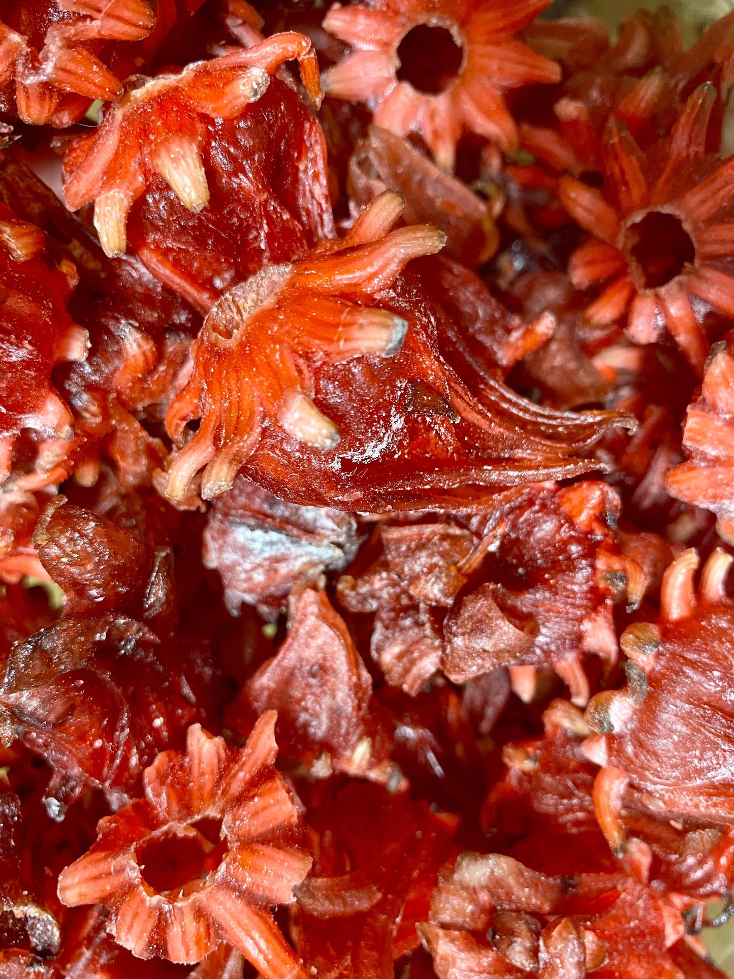 Fleurs d'hibiscus confites | fruits déshydratés
