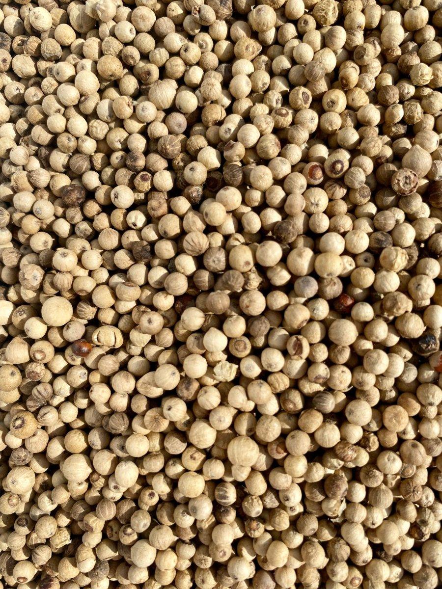 Poivre blanc du Penja | IGP | Origine, utilisations et recettes