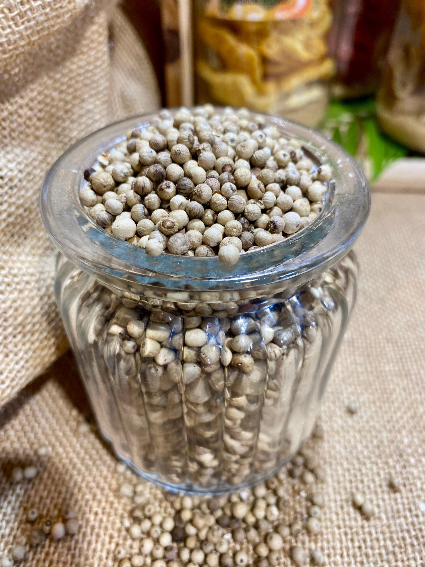 Poivre blanc du Penja | IGP | Origine, utilisations et recettes