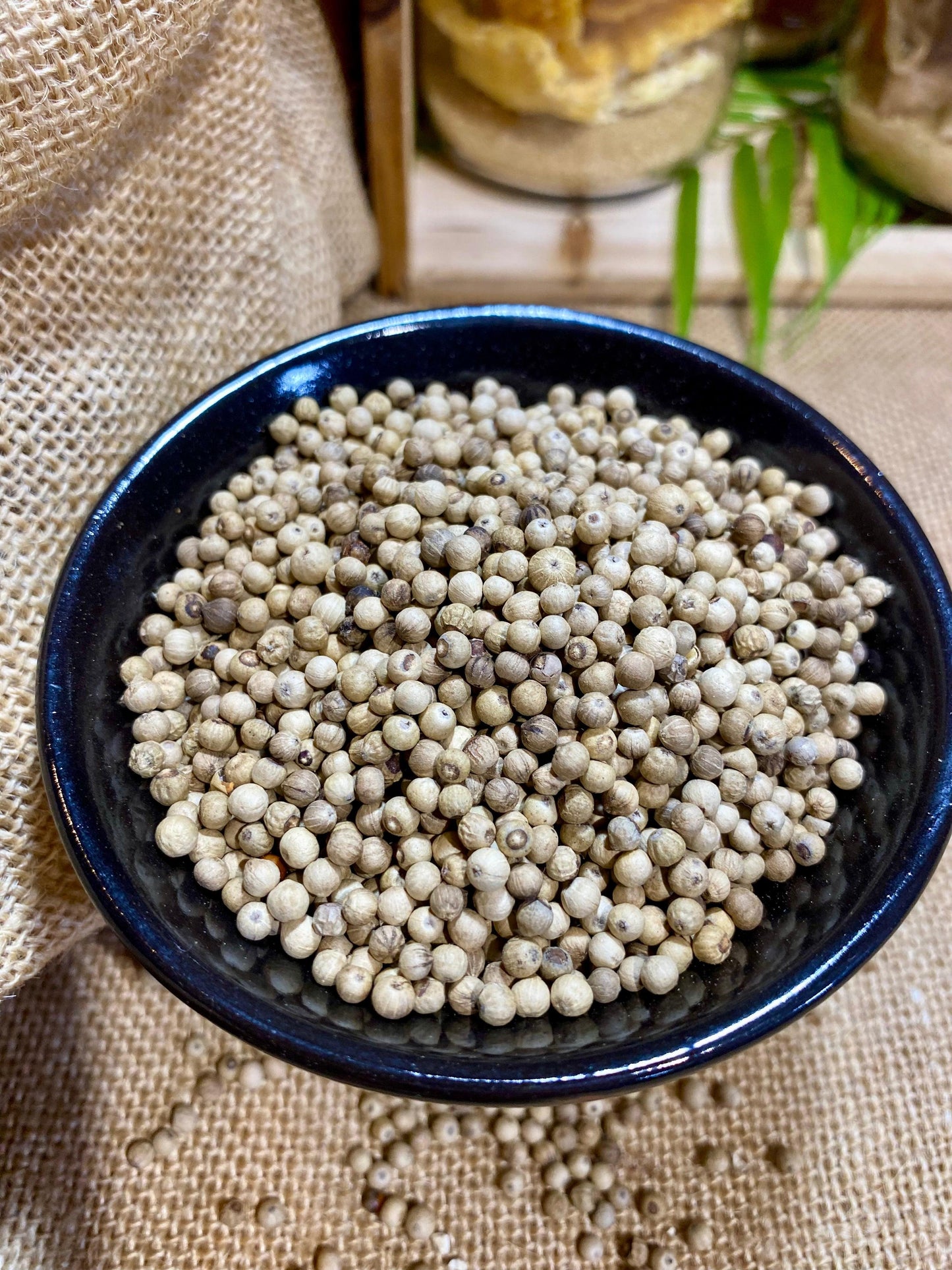 Poivre blanc du Penja | IGP | Origine, utilisations et recettes