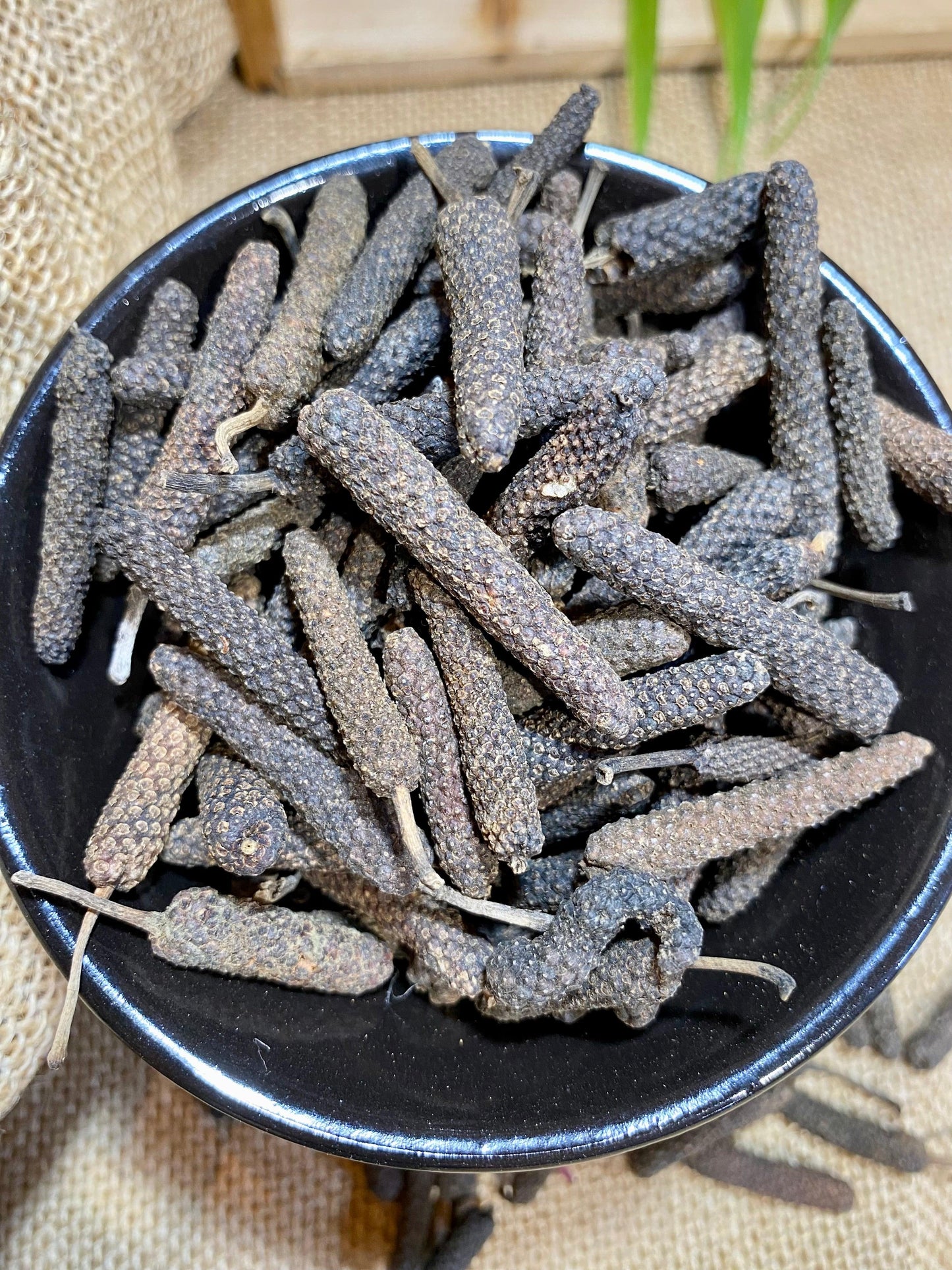 Poivre long de JAVA | Poivre de JAVA | Origine et utilisation