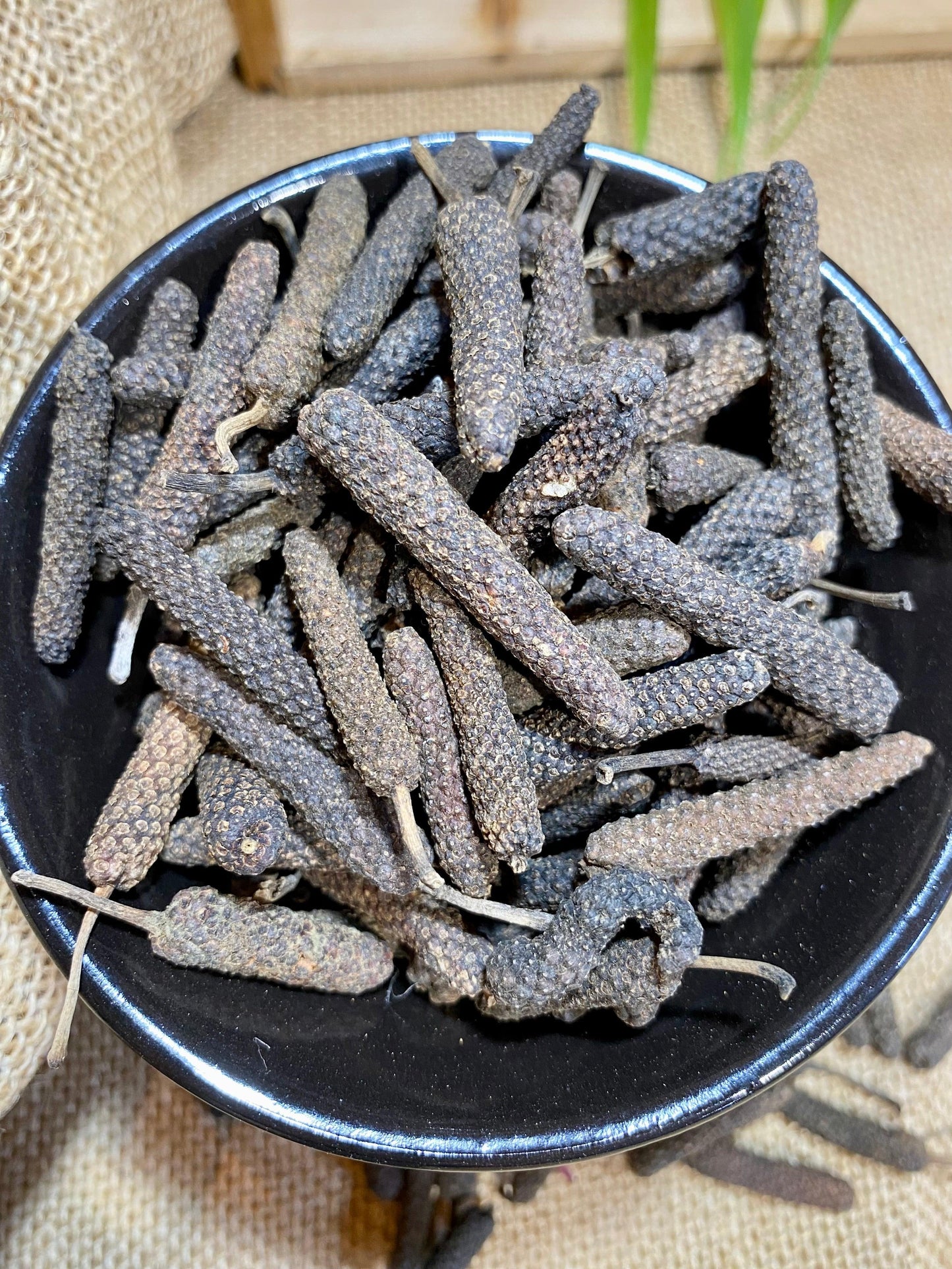 Poivre long de JAVA | Poivre de JAVA | Origine et utilisation