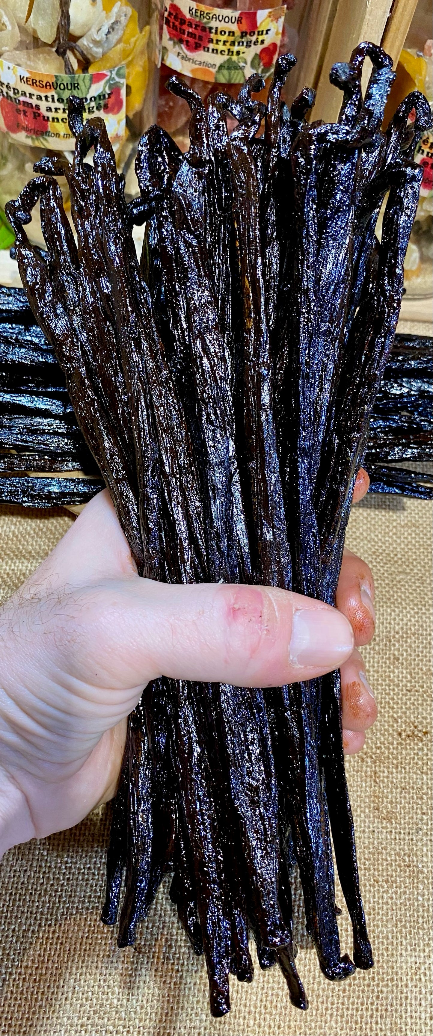 Vanille Pompona de Madagascar XXL – Origine, utilisation, recettes