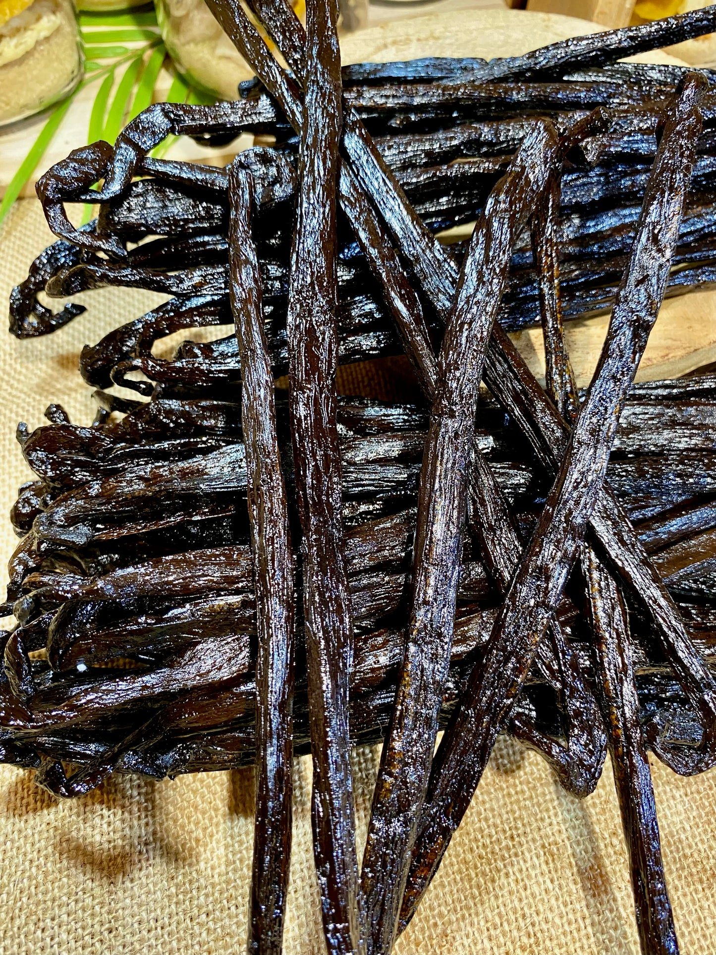 Vanille Pompona de Madagascar XXL – Origine, utilisation, recettes