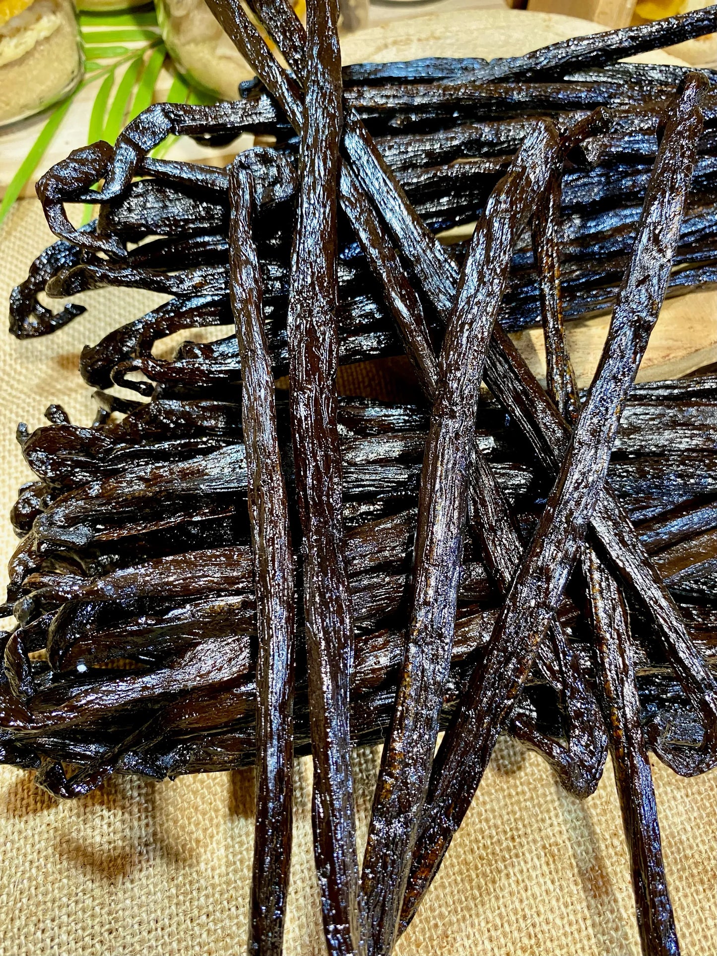 Vanille Pompona de Madagascar XXL – Origine, utilisation, recettes