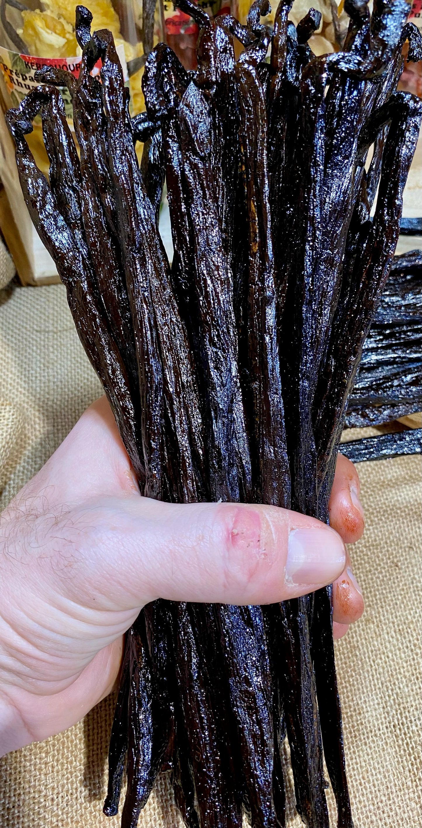 Vanille Pompona de Madagascar XXL – Origine, utilisation, recettes