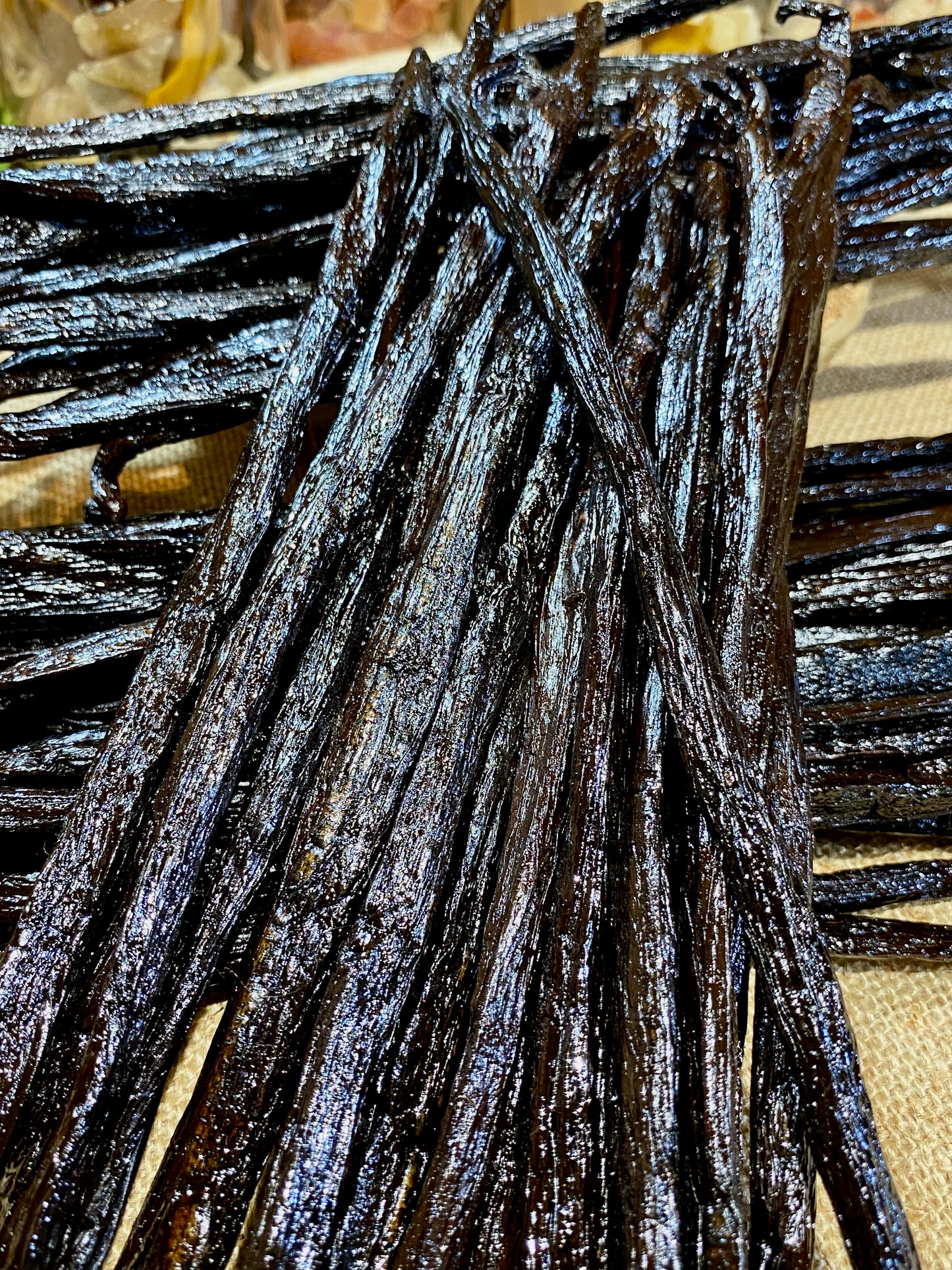Vanille Pompona de Madagascar XXL – Origine, utilisation, recettes