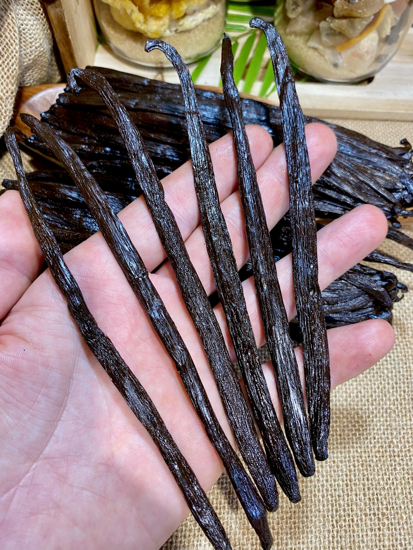 Vanille Inde Kerala | 17-18 cm | Origine, utilisation, Recettes