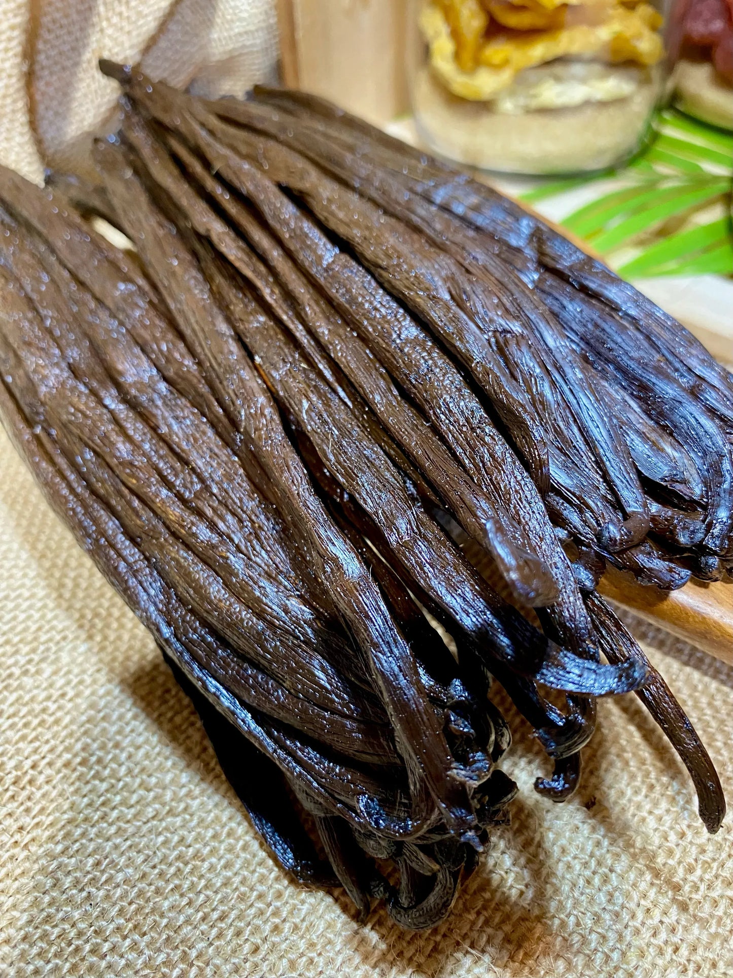 Vanille Inde Kerala | 17-18 cm | vente en vrac sous vide