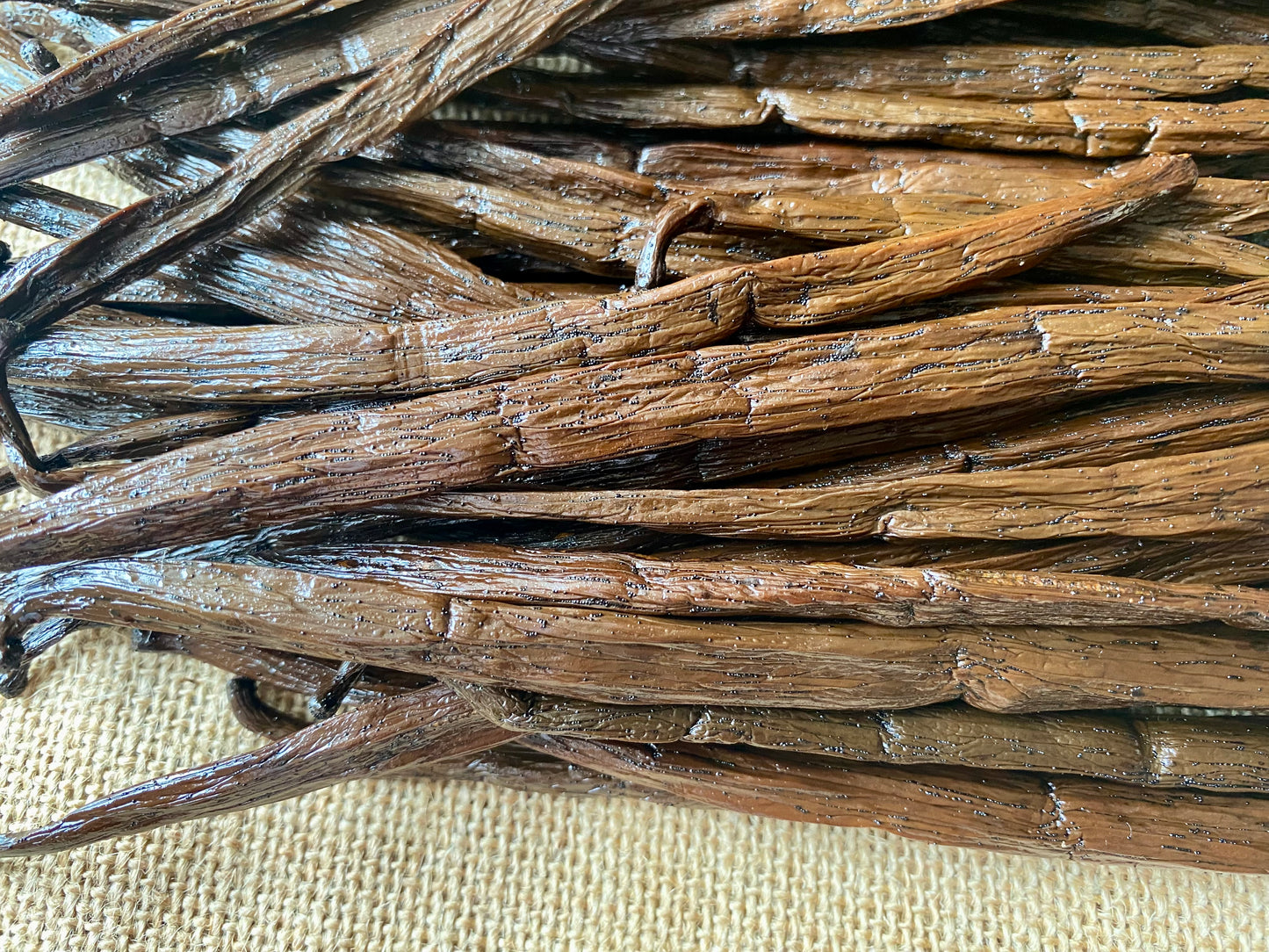 Gousses de Vanille de Madagascar XL | Utilisation, recettes