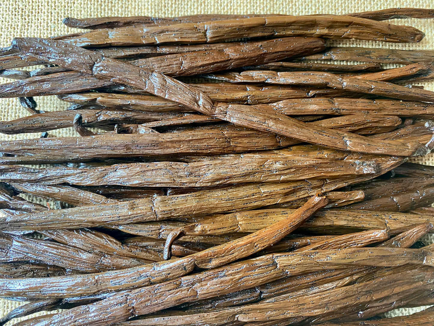 Gousses de Vanille de Madagascar XL | Utilisation, recettes