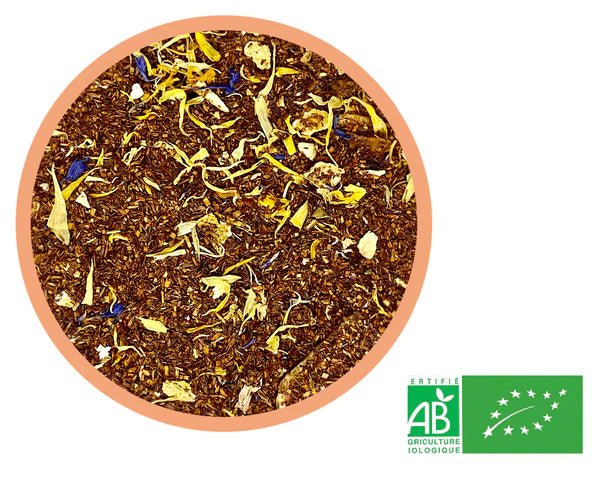 rooibos mangue banane