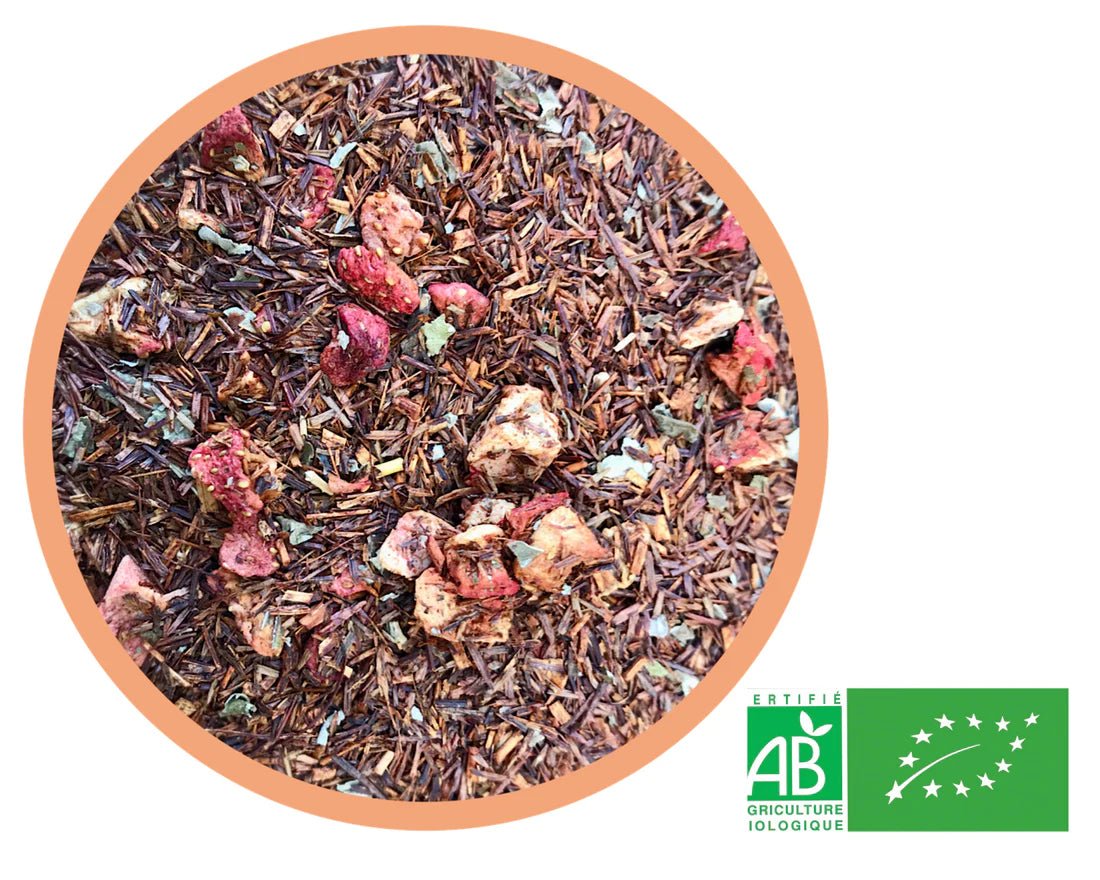 rooibos fraise bio