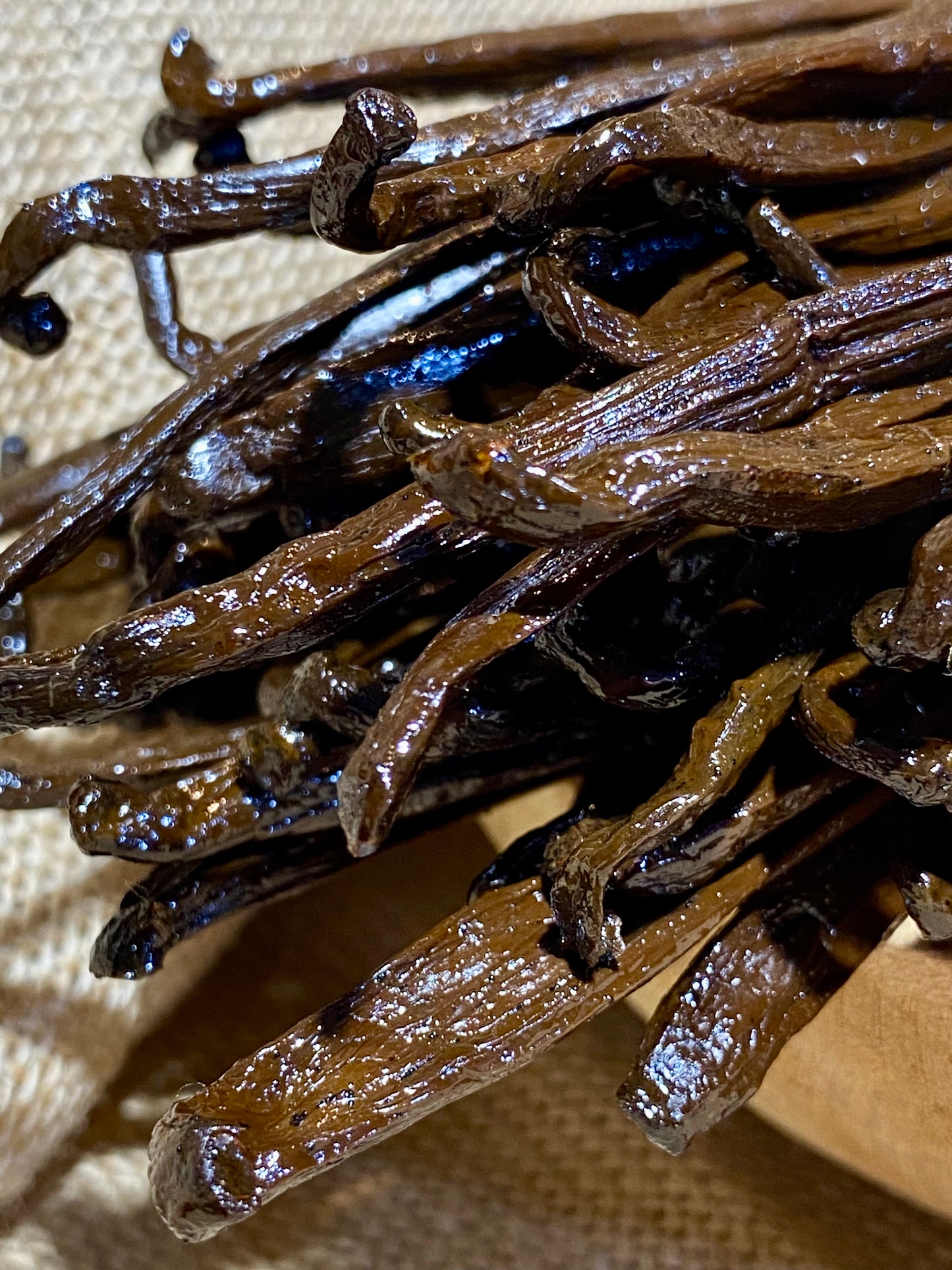 Gousses de Vanille de Madagascar XL | Utilisation, recettes