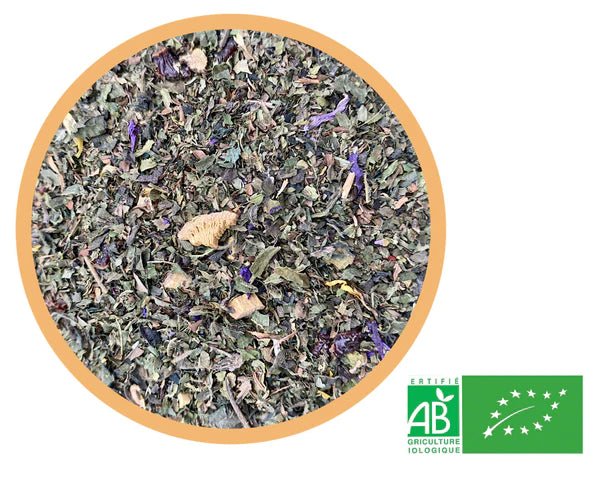 tisane d'ortie