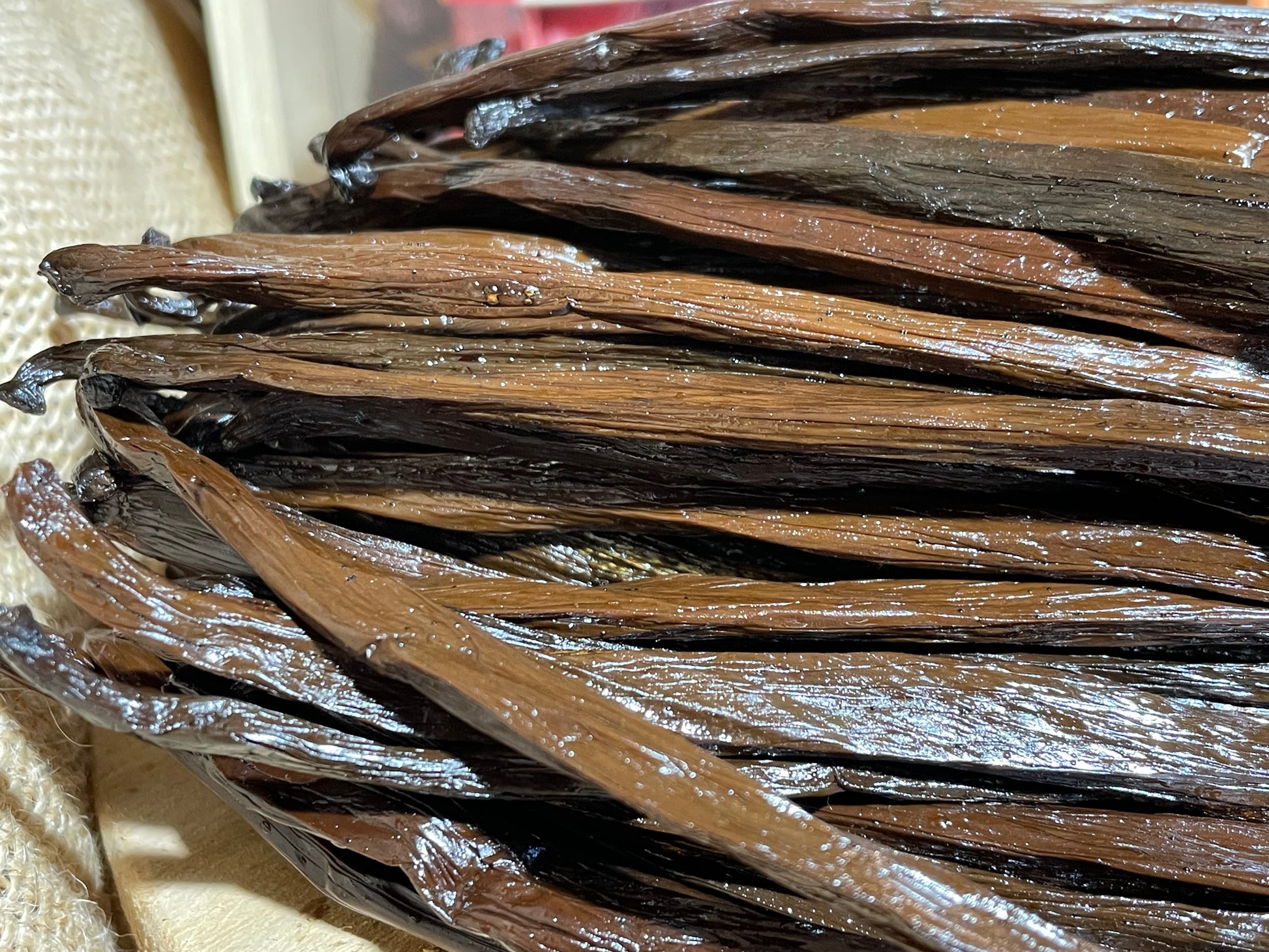 Vanille Tahitensis de Papouasie Nouvelle Guinnée