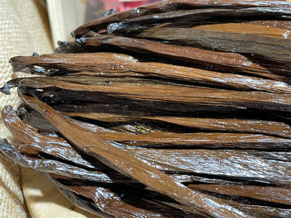 Vanille Tahitensis de Papouasie Nouvelle Guinnée