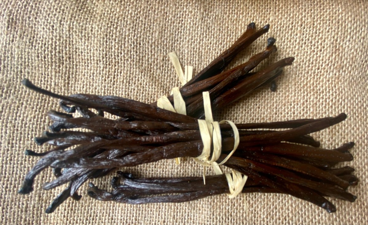 20 Gousses de Vanille Bourbon Madagascar 13-15 cm