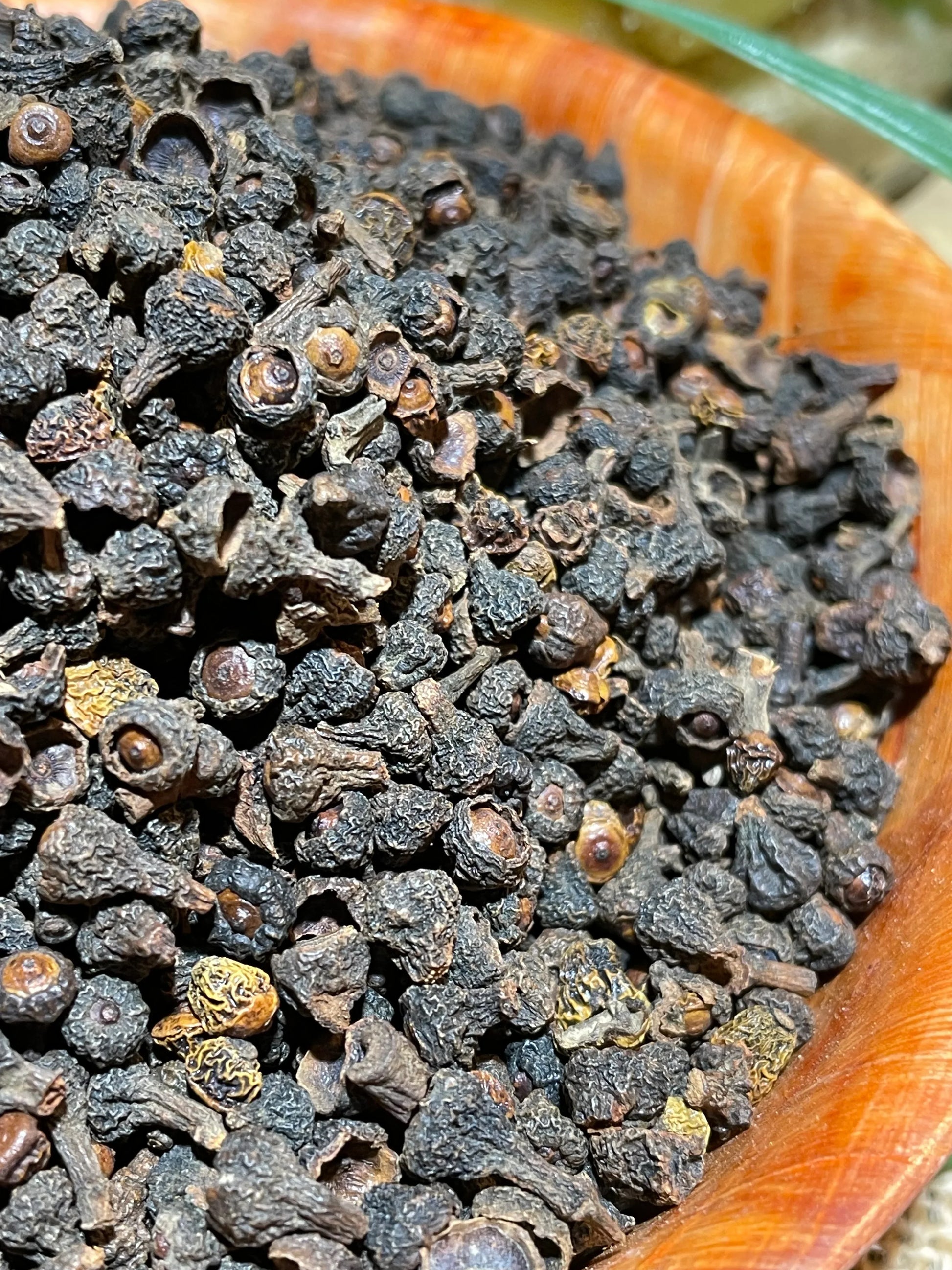 Baies de cannelier utilisées en infusion et recettes