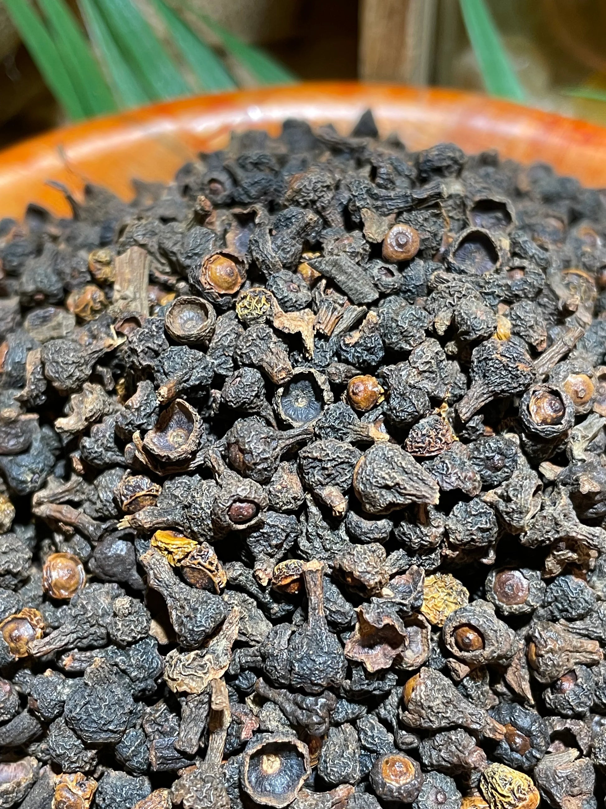 baies de cannelier – origine et bienfaits