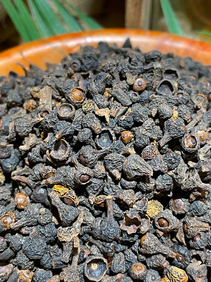 baies de cannelier – origine et bienfaits