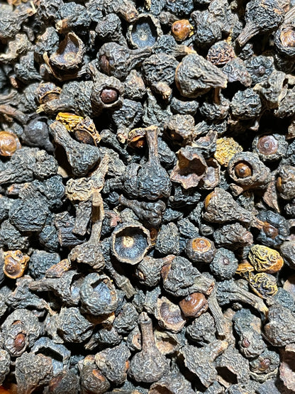 Baies de cannelier en vrac, épice rare du Sri Lanka aux arômes doux et boisés