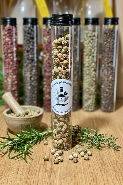 Baies de la Passion Ethiopie — tube en verre