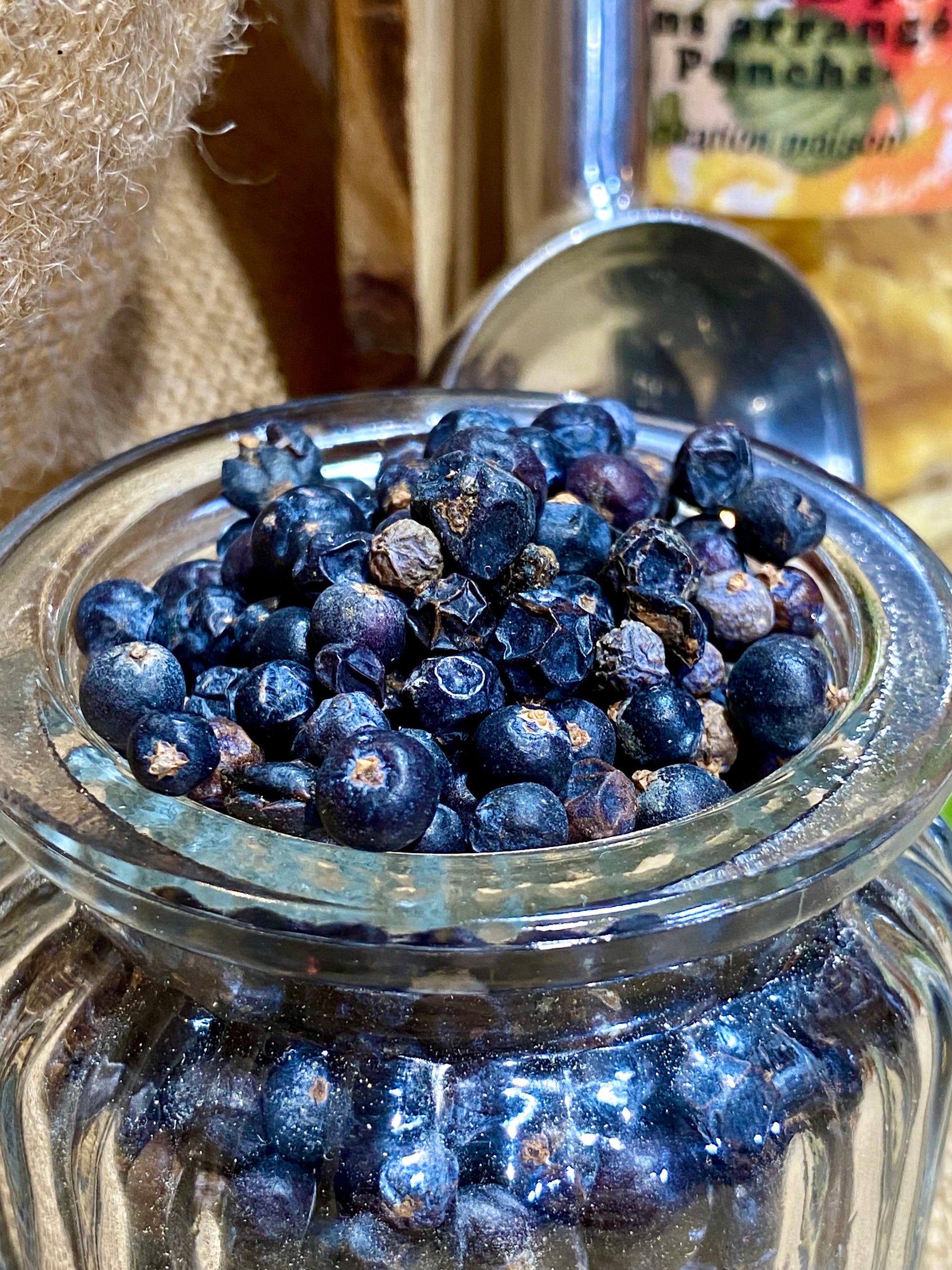 Baies de genièvre entières séchées au parfum boisé et aromatique