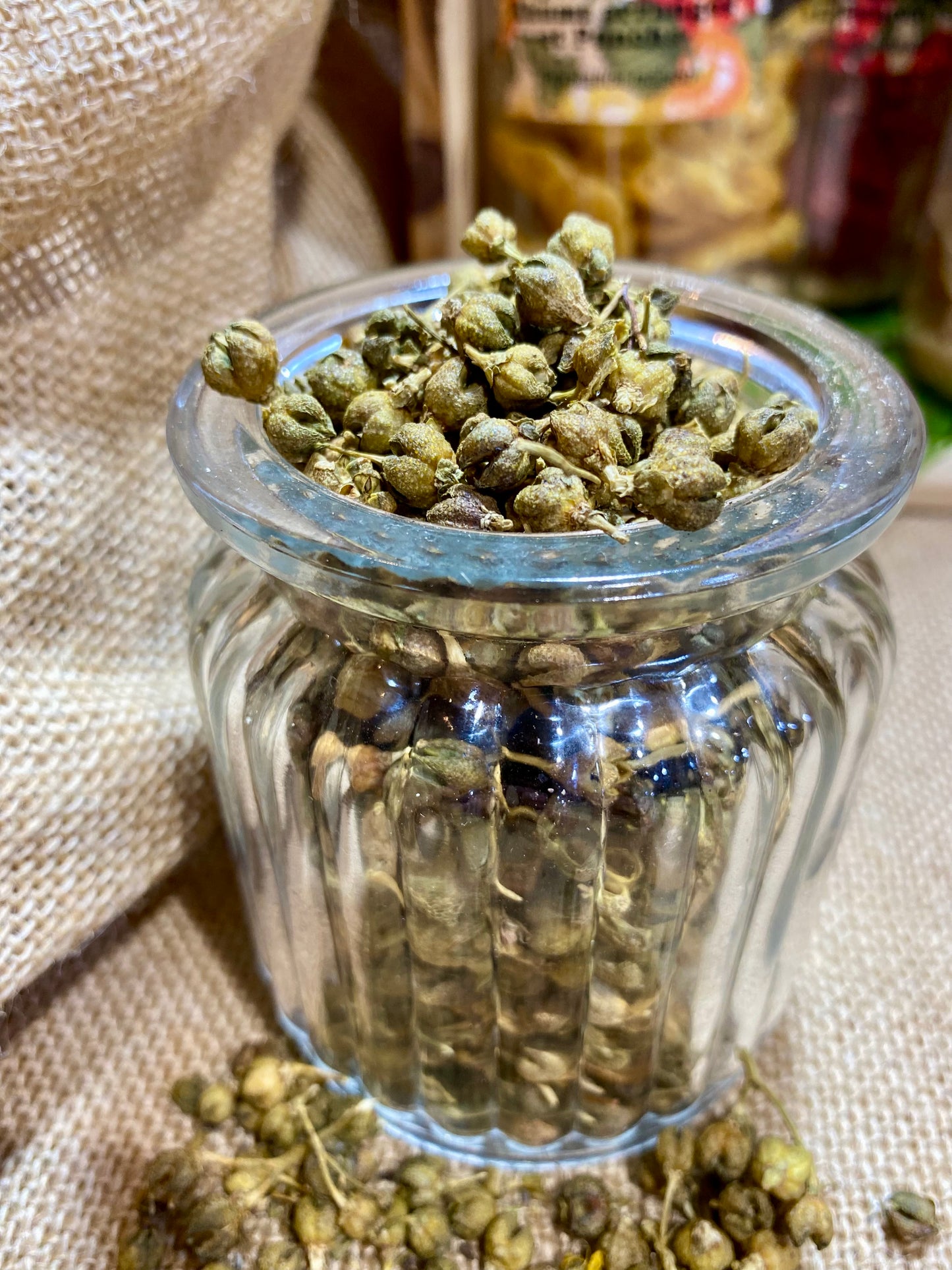 Gros plan sur les Baies de la Passion, poivre d’Éthiopie séché, aromatique et fruité