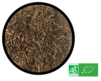 Thé Sencha bio | Origine, bienfaits et utilisations