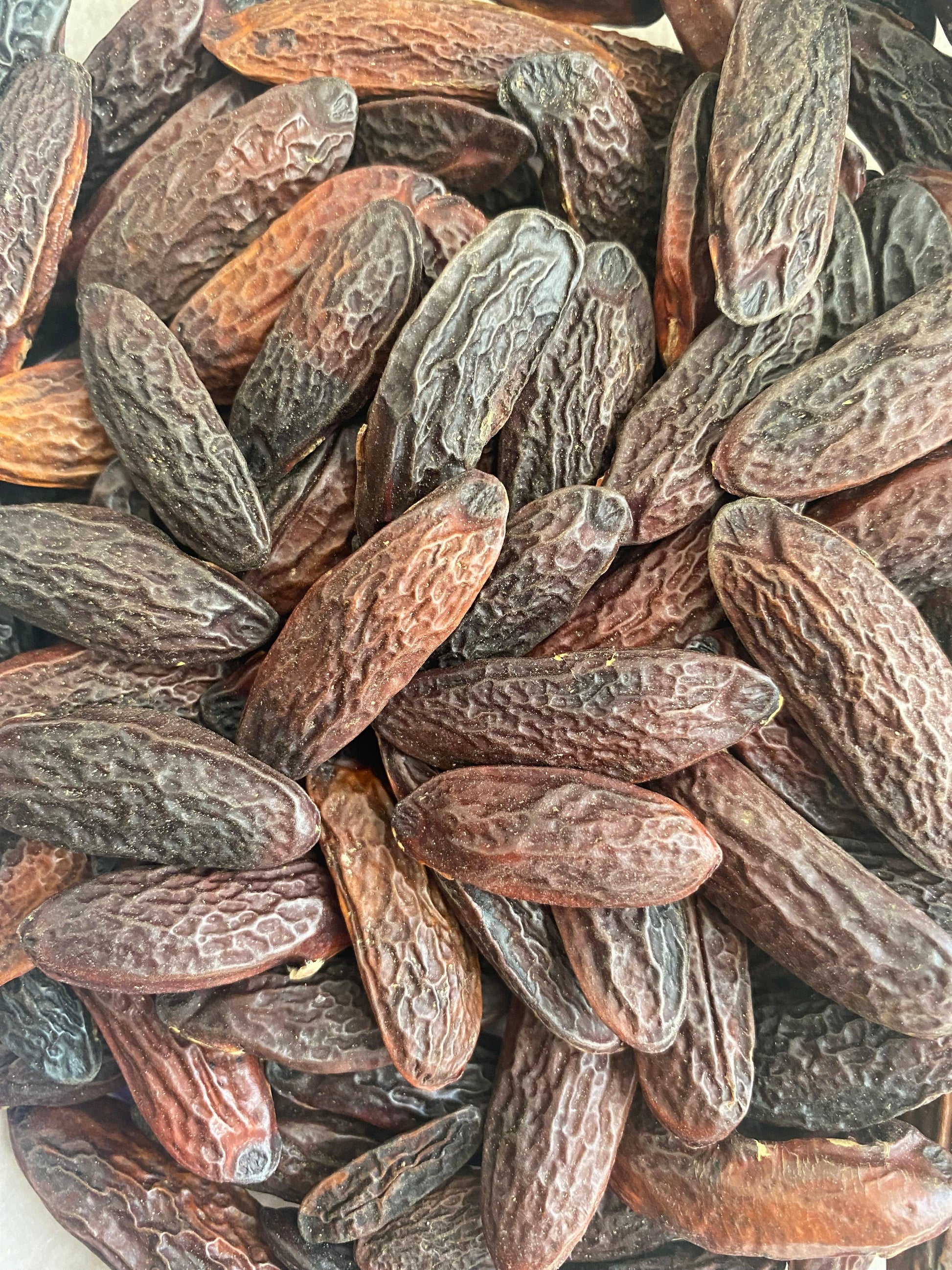 Fève de Tonka entière, épice aromatique aux notes vanillées et caramel