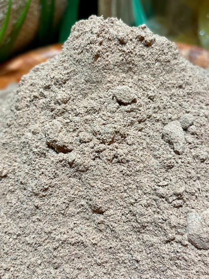Poudre de galanga Thaïlande – bienfaits digestifs et arôme poivré citronné