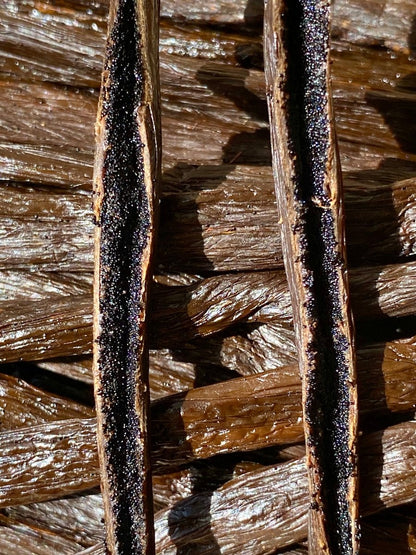 Détail des graines de vanille Ouganda montrant la texture riche et l’intensité aromatique