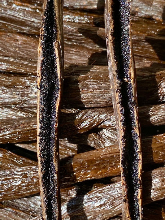 Détail des graines de vanille Ouganda montrant la texture riche et l’intensité aromatique