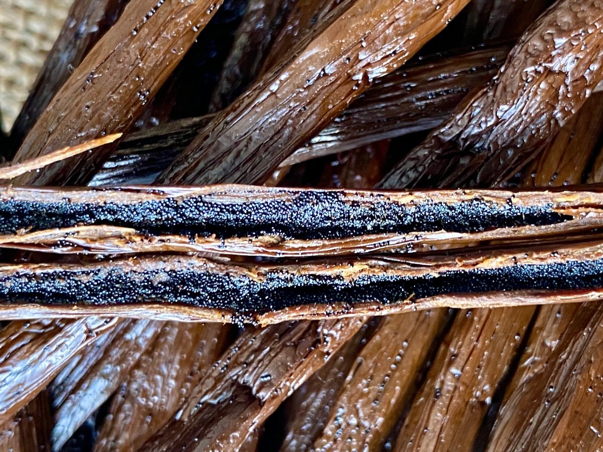 Détail des grains aromatiques des gousses de vanille de Madagascar