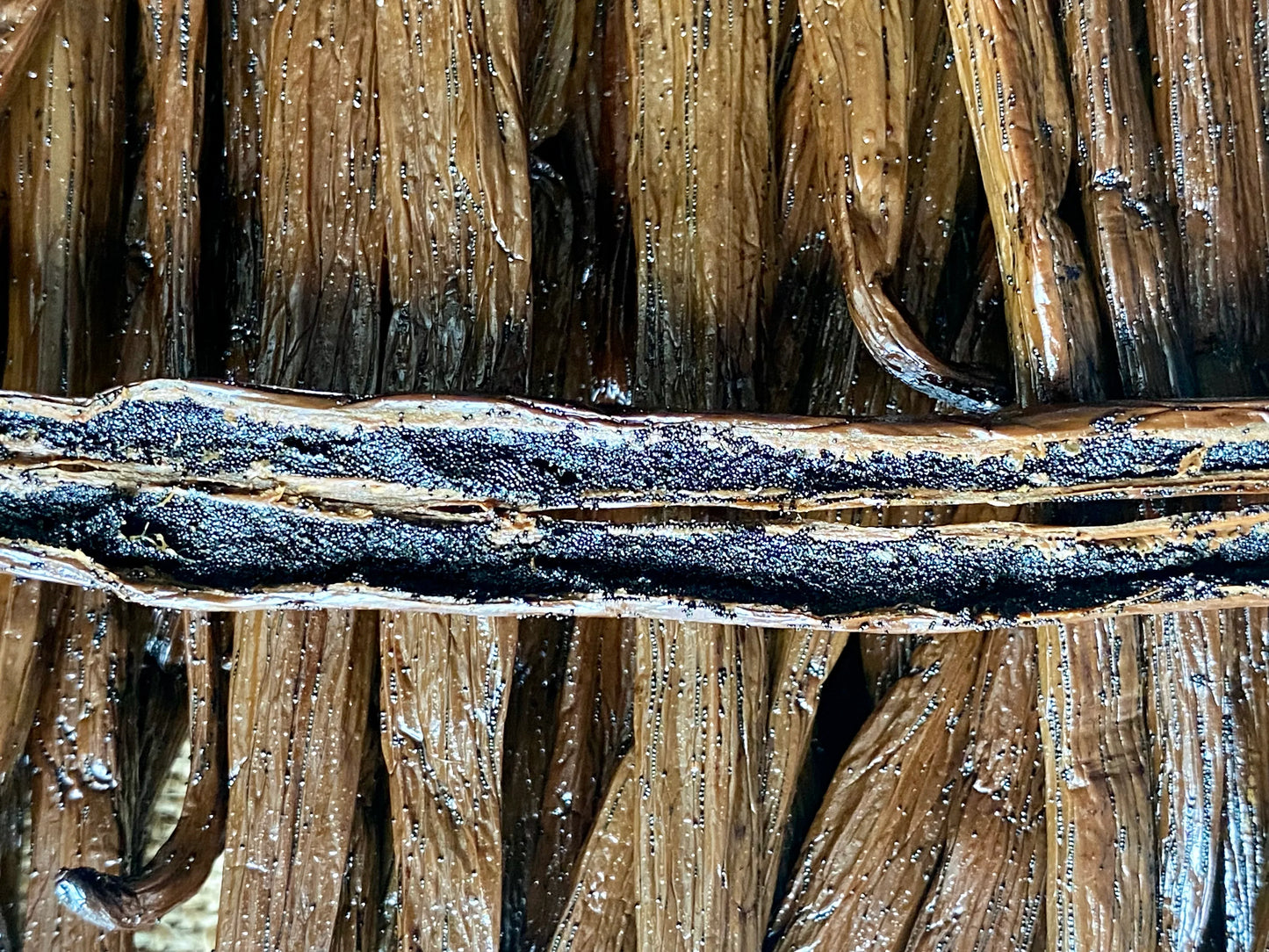 Gros plan sur les grains aromatiques des gousses de vanille XL de Madagascar