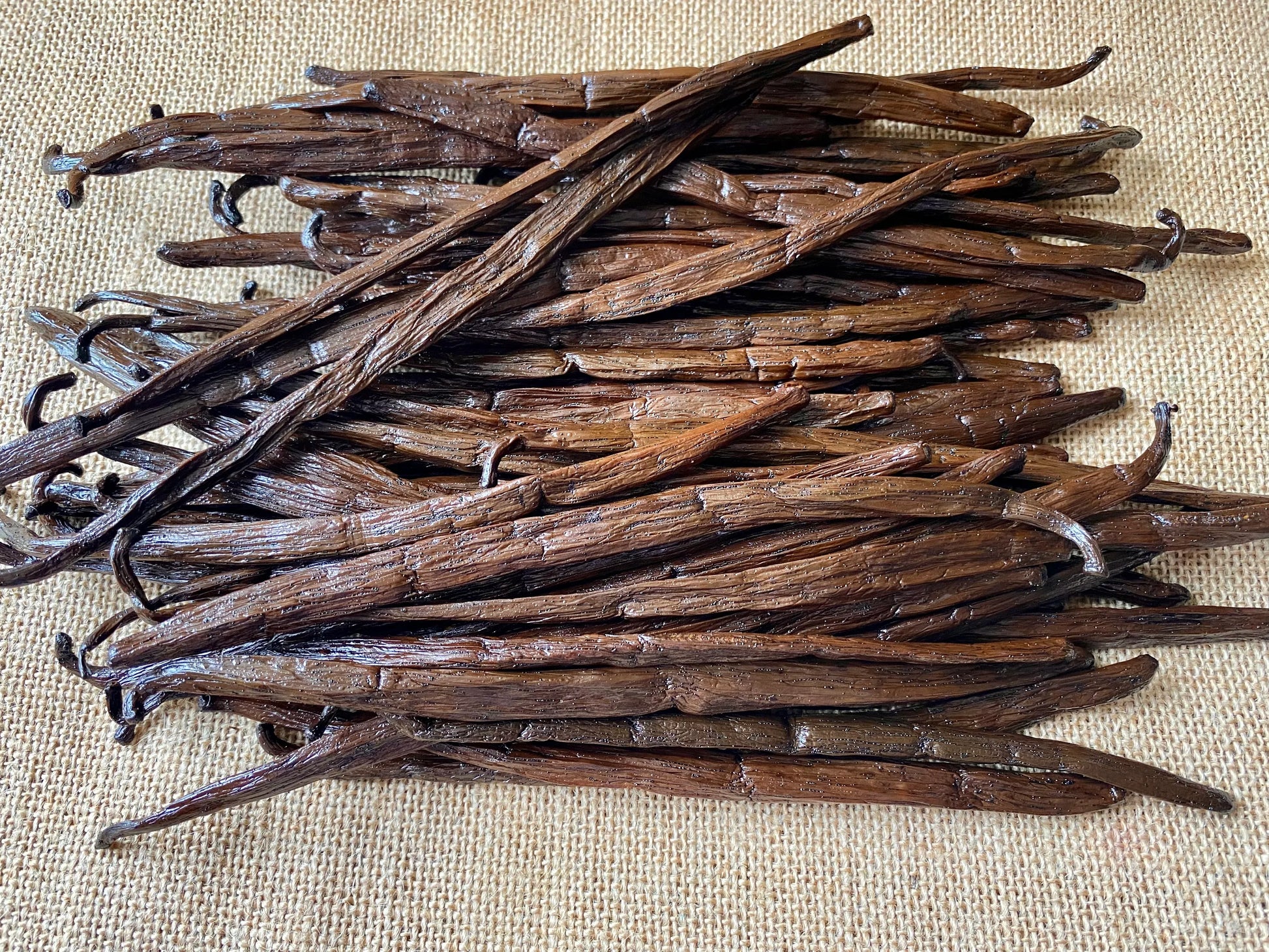 Gousses de vanille de Madagascar XL, longues et aromatiques pour pâtisserie et desserts