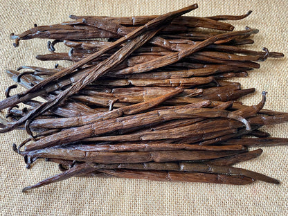 Gousses de vanille de Madagascar XL, longues et aromatiques pour pâtisserie et desserts