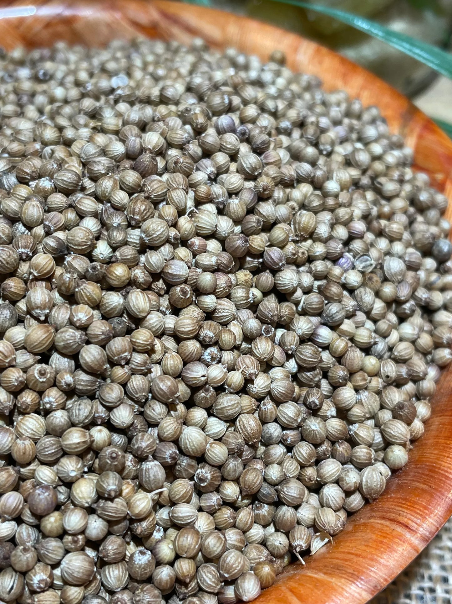Graines de coriandre origine et bienfaits