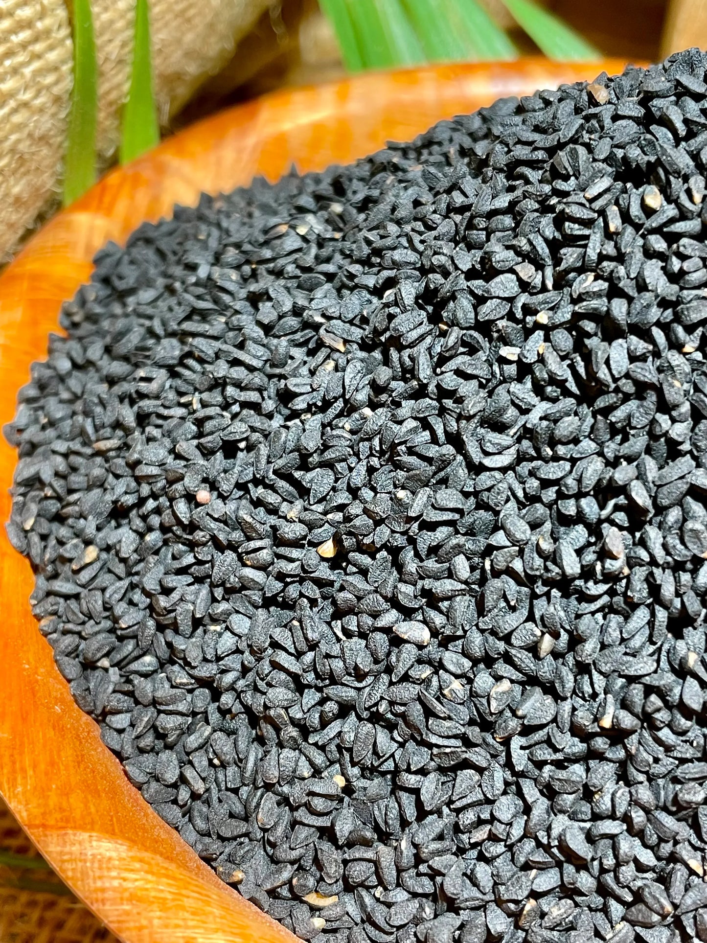 graines de nigelle Nigella sativa, vente en ligne vrac