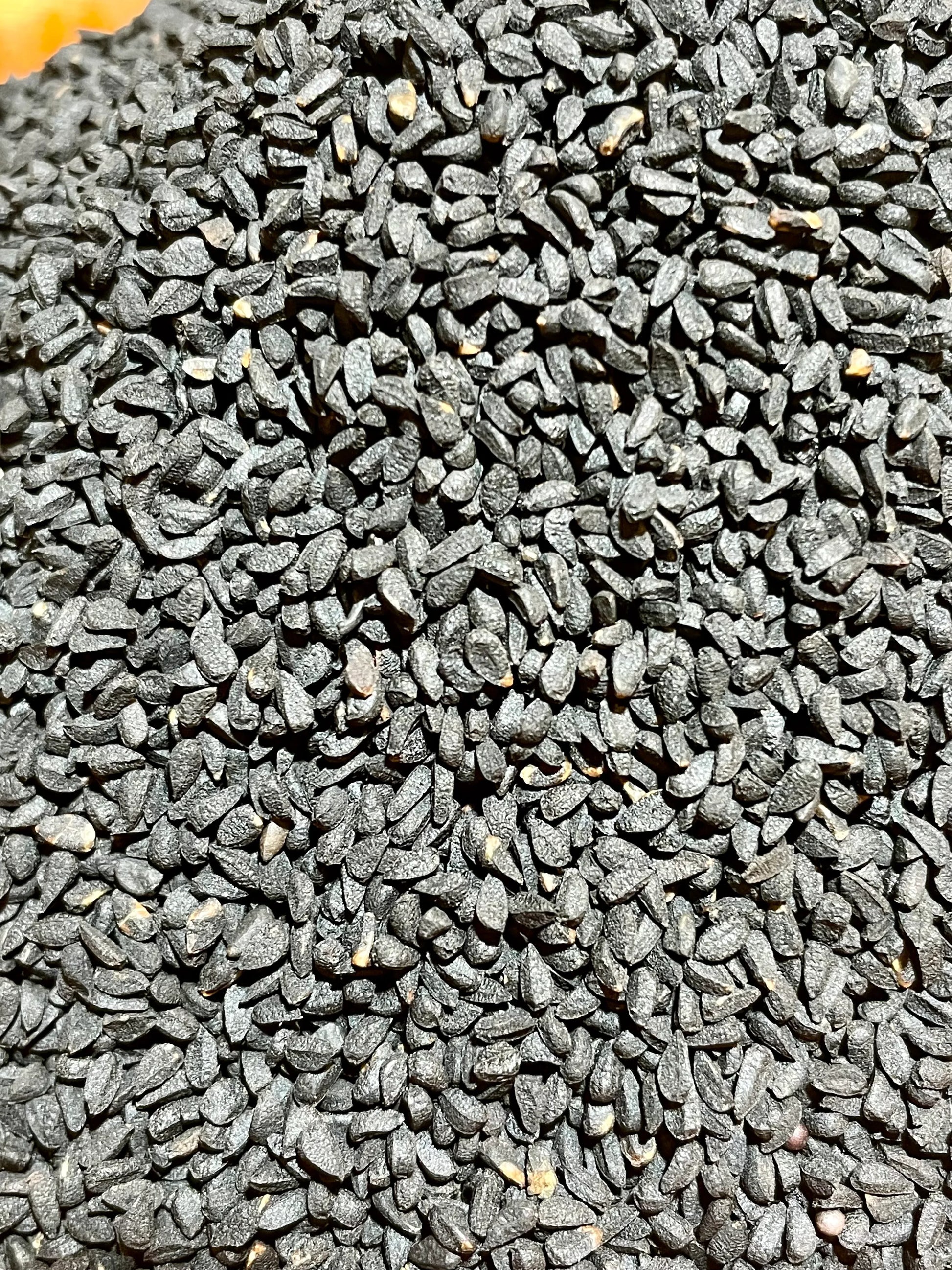 Graines de nigelle origine bienfaits 