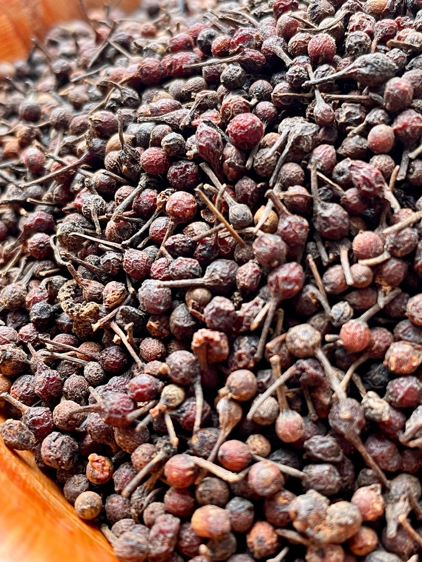 Grains de Voatsiperifery couleur brun foncé en gros plan